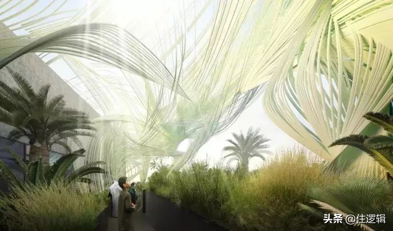 迪拜世博会中国馆建筑师,设计师吐槽大会