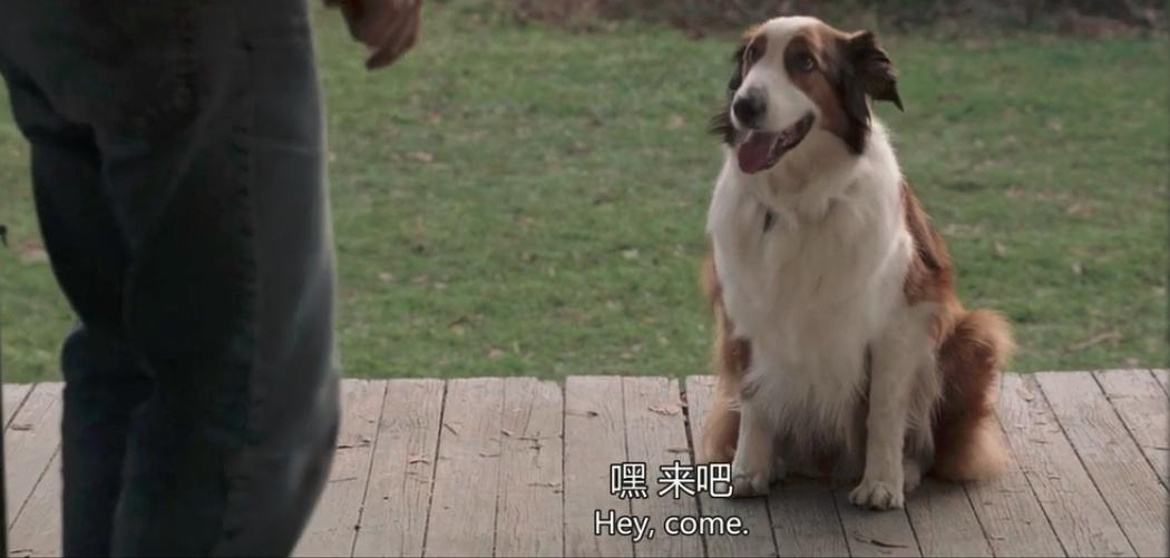 驱魔真人事件改编,恐怖电影驱魔夫妇