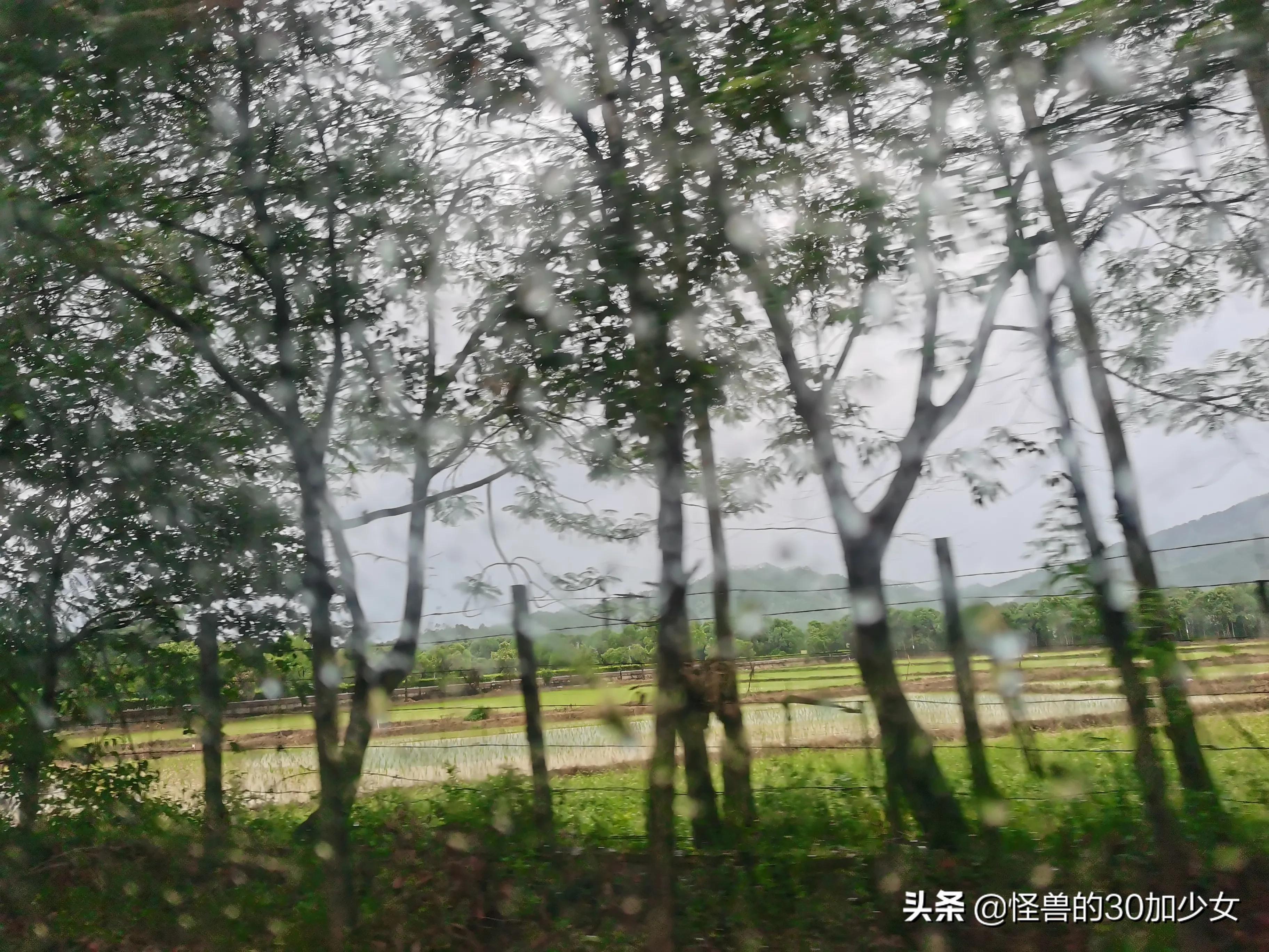 飘过，那一年，找工作的一个小故事