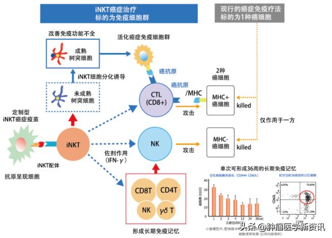 癌症无法治愈但可以改变心态,癌症并非无药可治