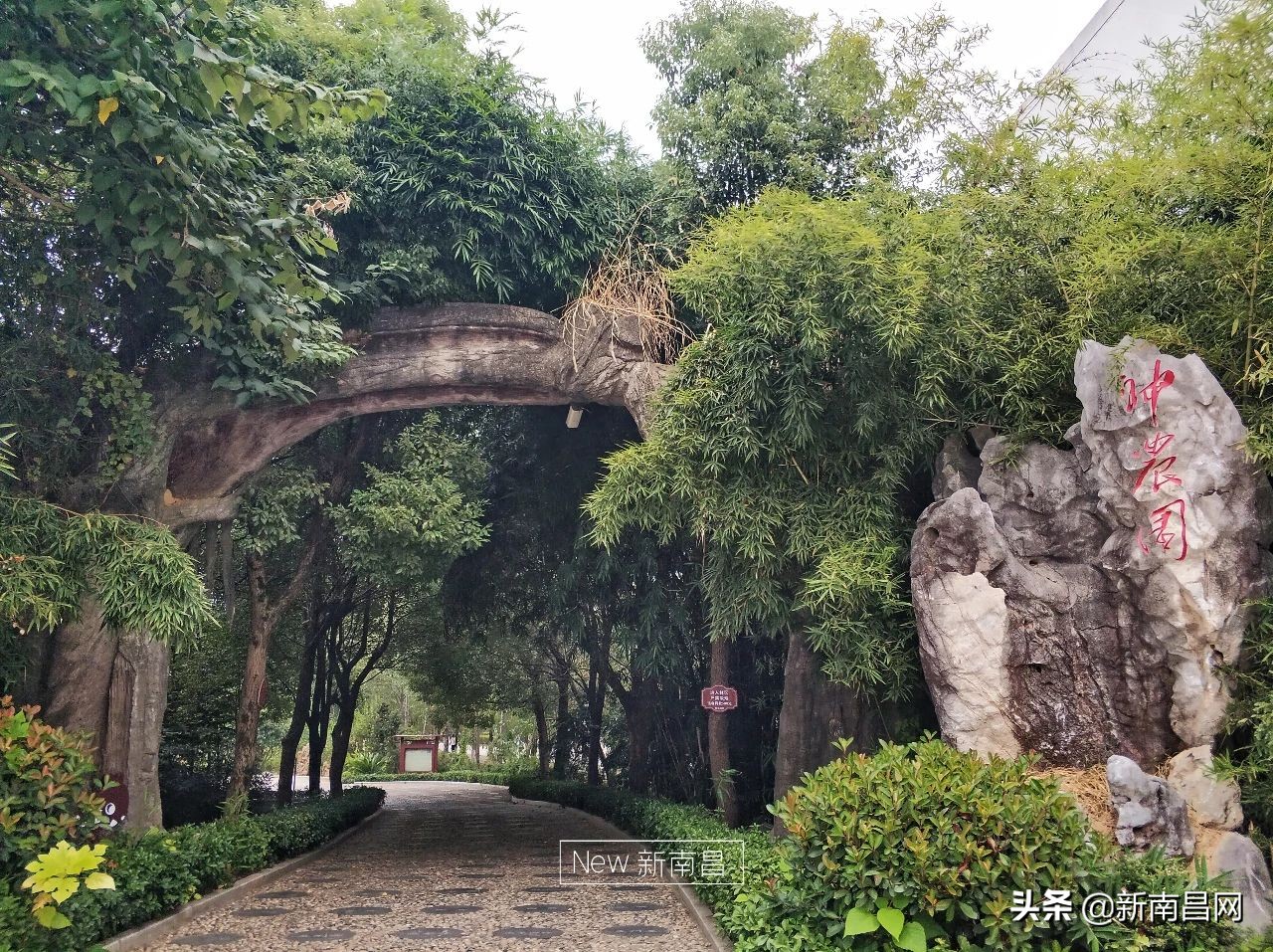 江西中医药大学回忆,现在的江西中医药大学