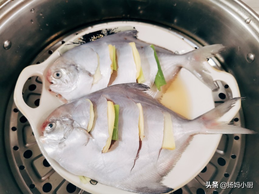 清蒸银鲳鱼肉质发硬怎么回事,正宗清蒸银鲳鱼的正确方法视频