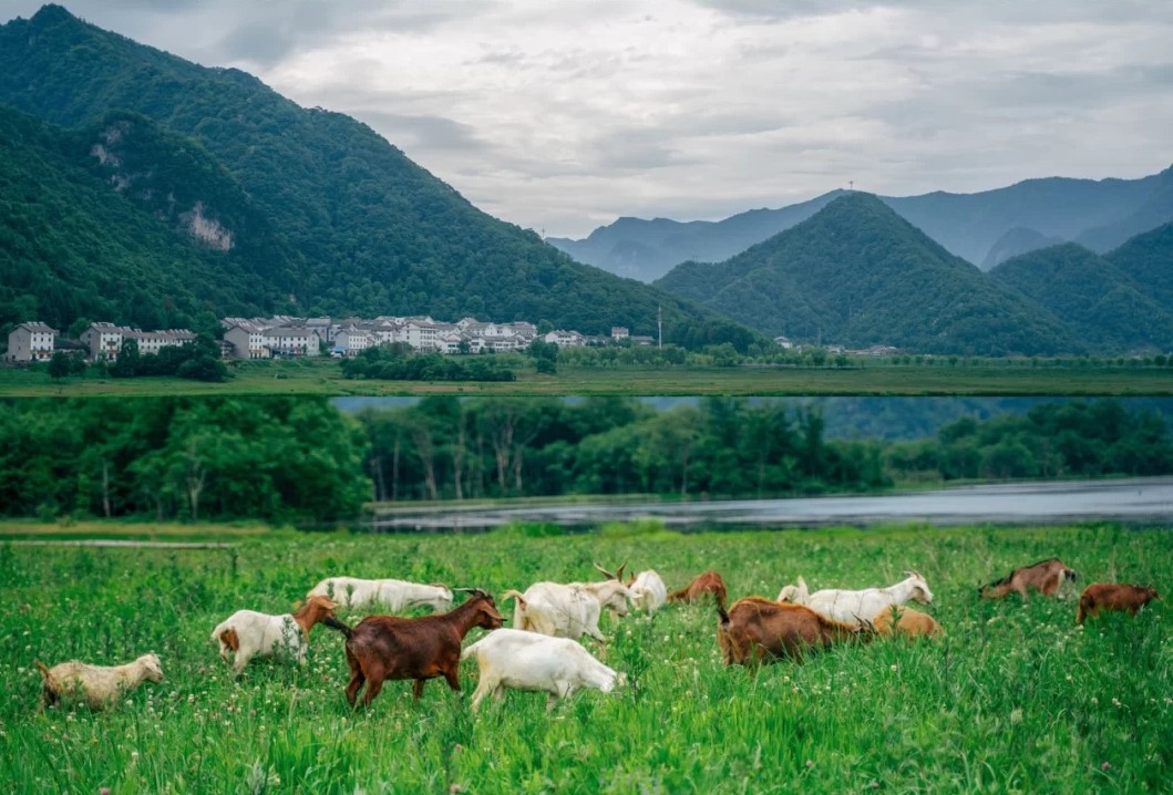 这才是夏天凉爽的地方,七里坪负氧离子全国第一避暑天堂
