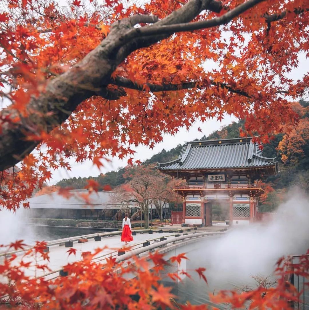 大阪攻略自由行,看惯了千篇一律的高楼大厦