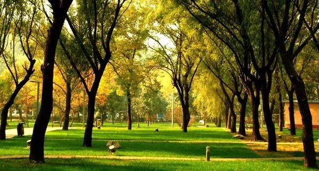 地铁4号线沿线新增数百地铁盘,开发区地铁3号线新楼盘