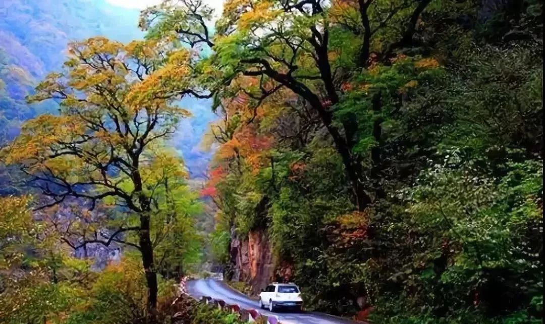 湖北深秋自驾游景点推荐,秋色彩林川西自驾