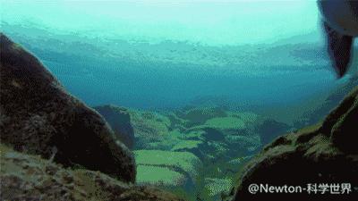 最美边境公路自驾游攻略,国内最美沿海公路自驾游