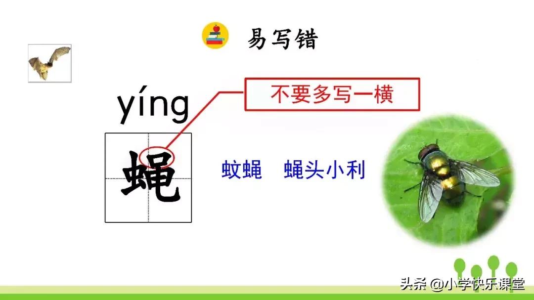 四年级上册语文蝙蝠和雷达课后题,部编版四年级上册语文蝙蝠和雷达