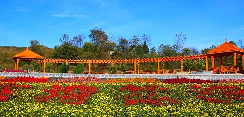 秦岭深处绝美村落,秦岭深处一座美丽的世外桃源