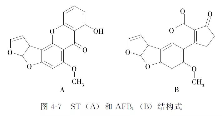 动物源性成分检测,动物源性食品安全检测