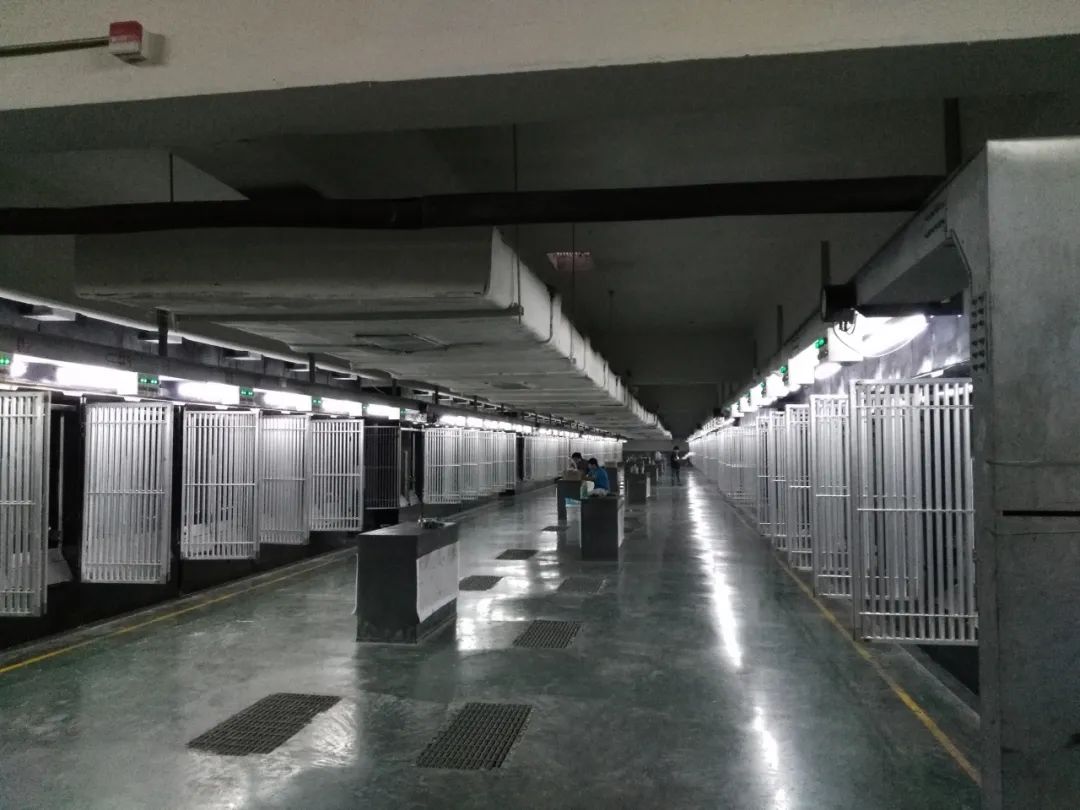 甬商风采|黄金德：村办企业到化纤标杆的蜕变之路