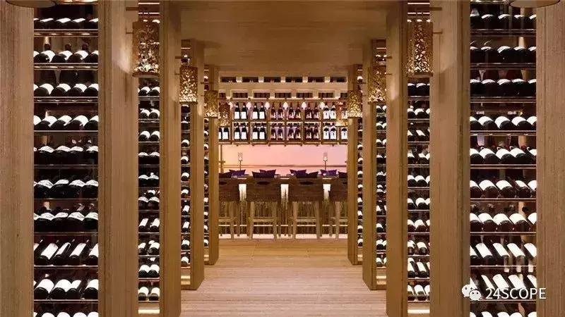 马尔代夫最美度假旅游岛酒店,马尔代夫娇丽酒店价格