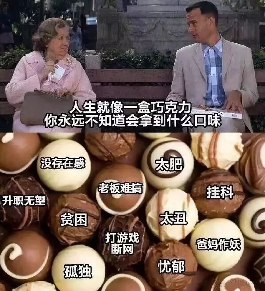 鑹鸿鐢熸椿,鑹鸿