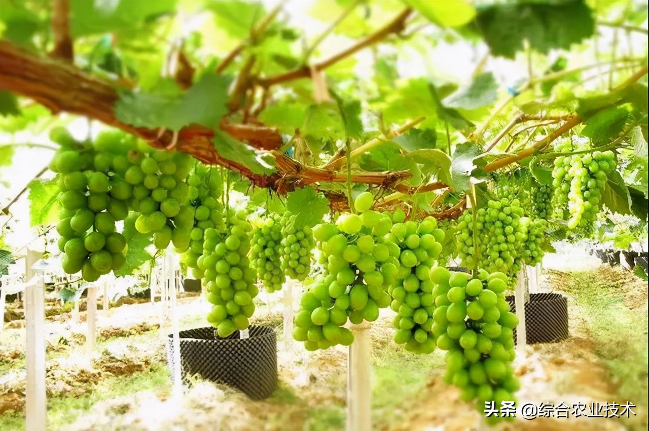 建水上亿富豪,身价上亿的电商老板