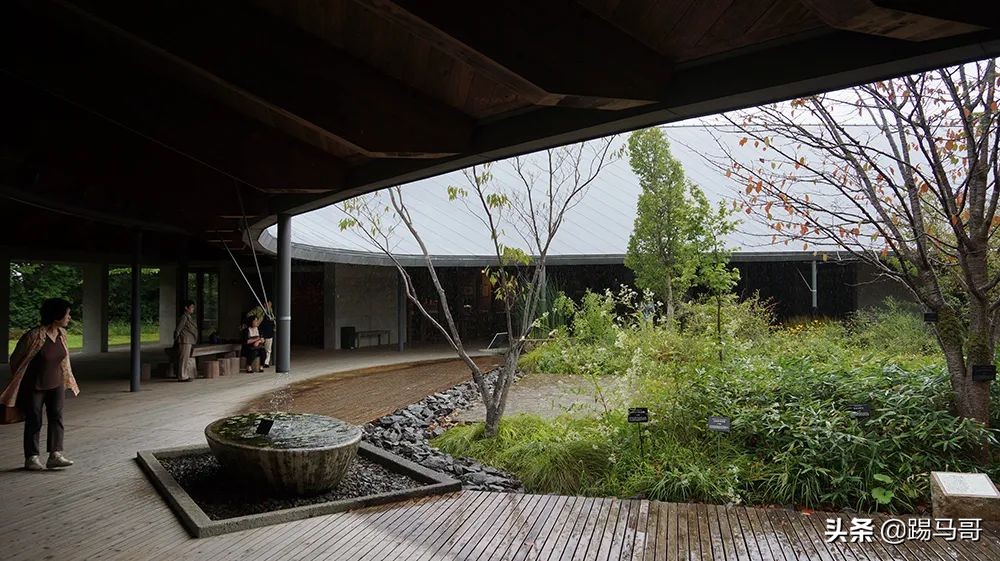 appletv出品的电影,appletv出品