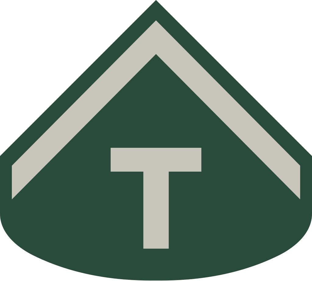 巴西军衔图片,各国军衔标识俄罗斯