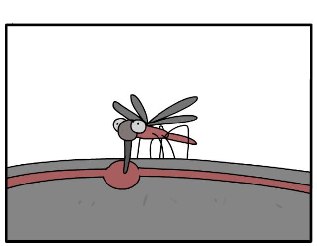 家里蟑螂多用什么方法灭蝇效果好,除蟑螂家用灭蟑神器