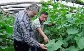 物联网水肥一体化以色列,菜吧家庭农场运营