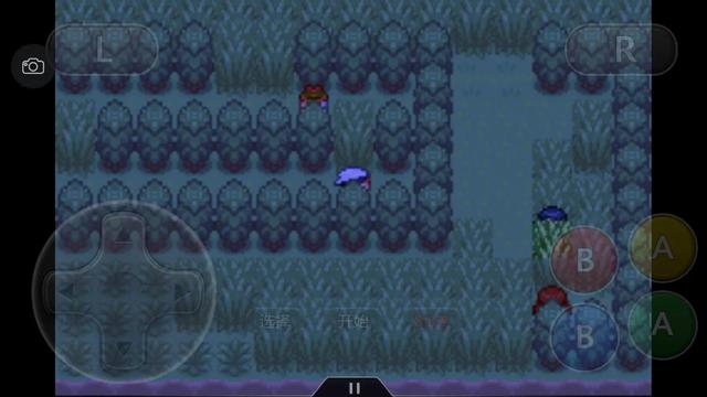 口袋妖怪究极绿宝石4攻略33,口袋妖怪究极绿宝石4完全攻略