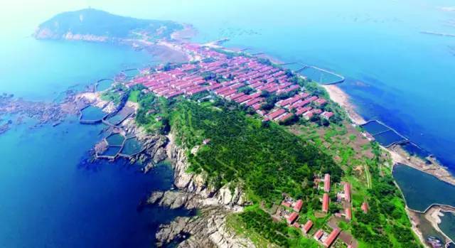 西海岸新区下一个浦东,青岛市西海岸新区发展趋势