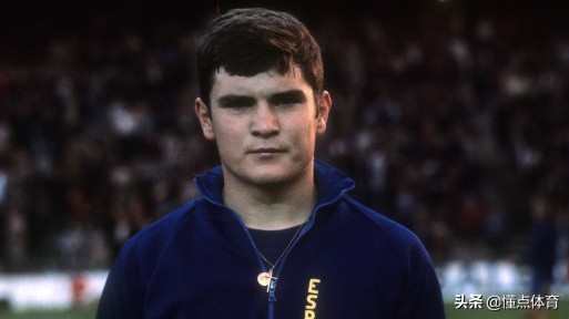 西班牙队史十大球星,西班牙王朝三连冠主力