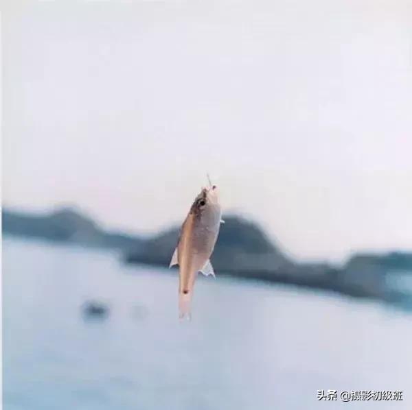 推荐几个日系摄影师,推荐个日系摄影师名字