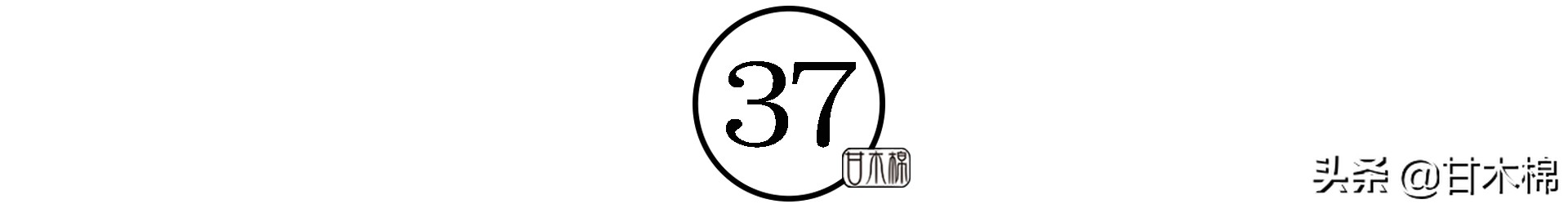 童年野果子,儿时的野果子总让人回味无穷