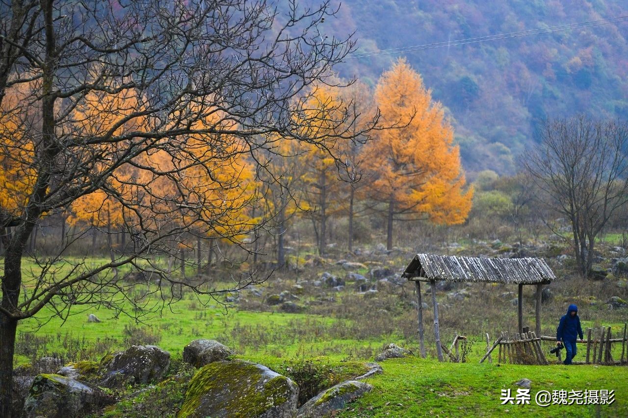 留坝秦岭之夜,留坝秦岭森林公园