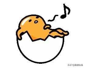 养鱼日常金鱼,养鱼学问观赏鱼