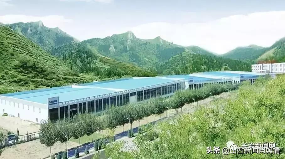 振东企业如何保持活力,振东抗衰