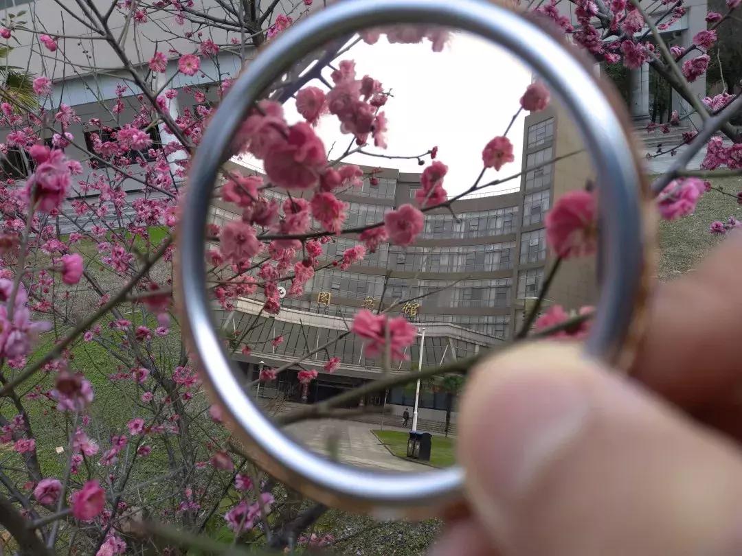 镜中的武工院，是最美？妙不可言？