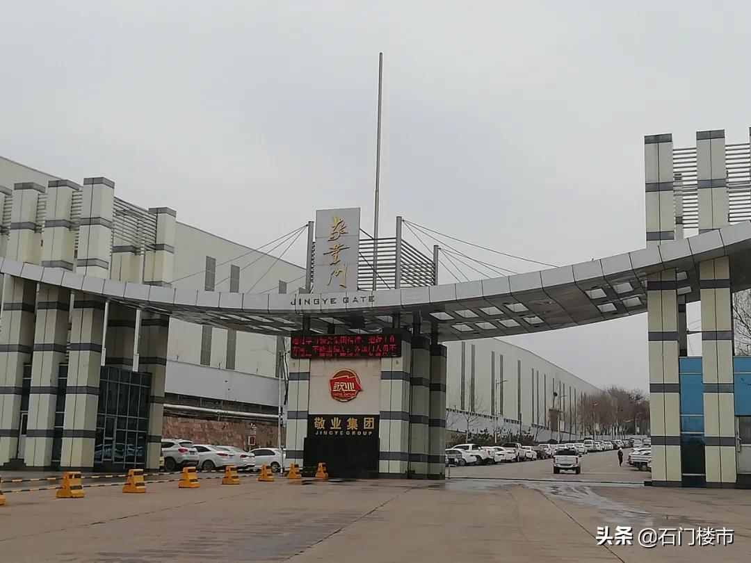 实探现场,实探日本果园