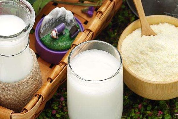 孕妇喝的羊奶粉有哪些,孕妇喝羊奶粉哪个牌子好