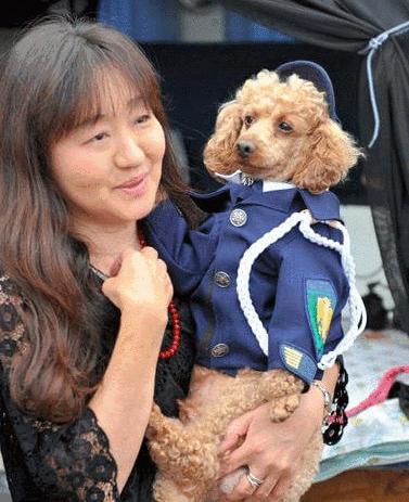 贵宾犬面对主人哭泣时的几种表现,贵宾犬忠诚于你的5大表现是什么