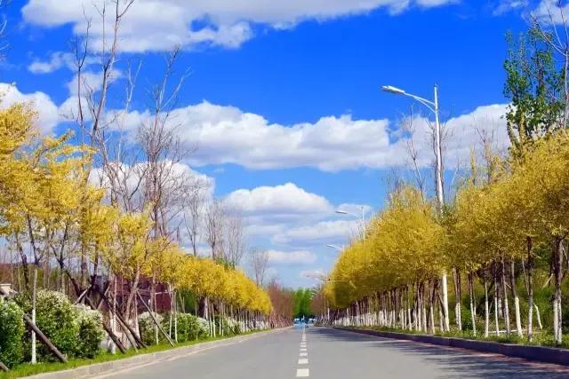 辽宁中医药大学杏林学院规模,辽宁中医学院杏林学院的排名