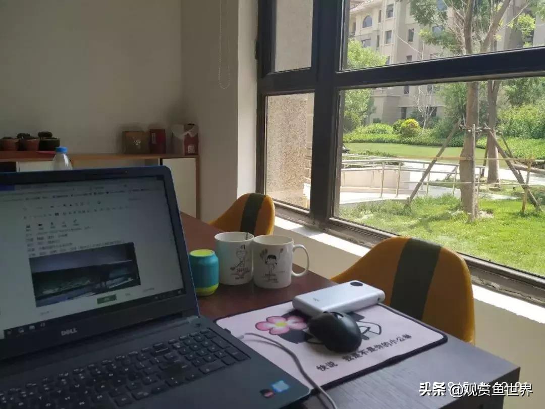 梦想的三湖世界持续建设中……方位:中国天津