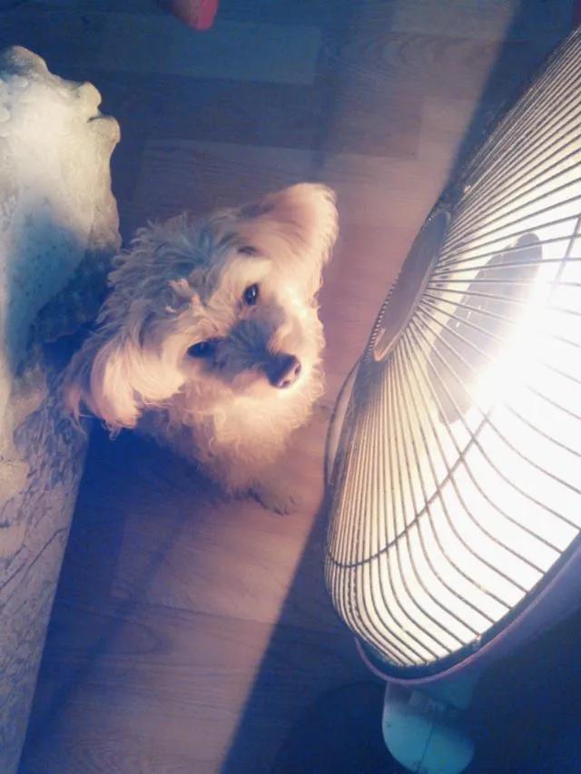 散文今夜我静静的想你,散文今夜我想你