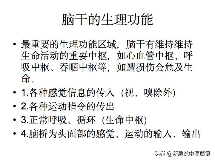 中枢神经系统断层解剖讲解,中枢神经3d解剖动画