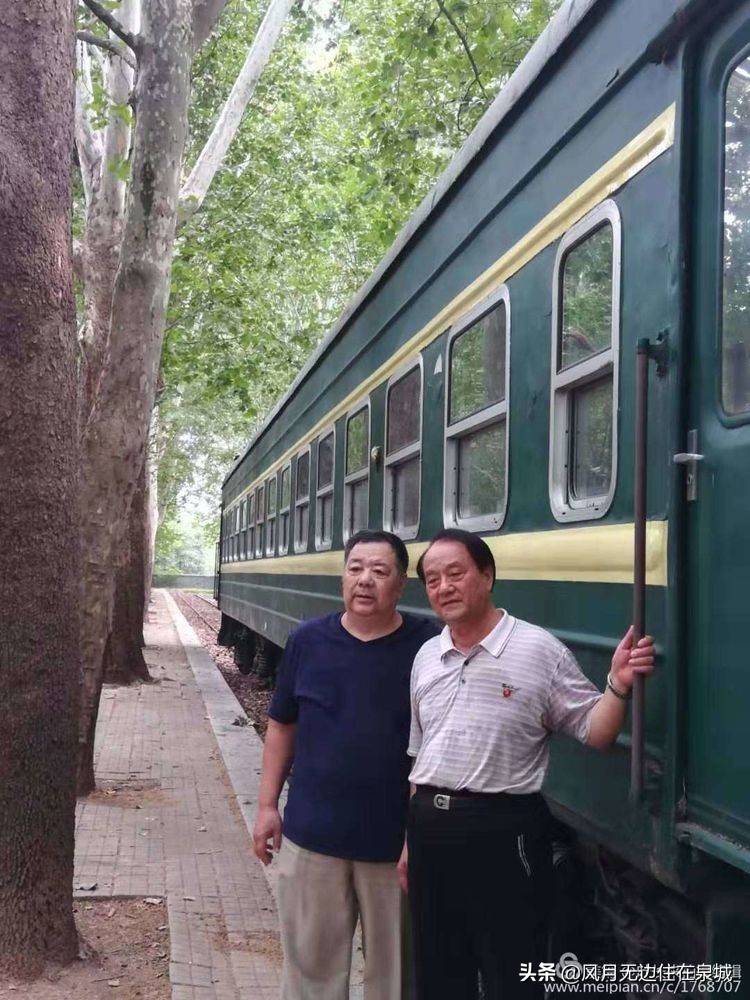 济南一颗梧桐树,济南的法国梧桐