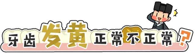 牙齿最坚硬的部分叫什么,怎么判断牙齿的磨损程度