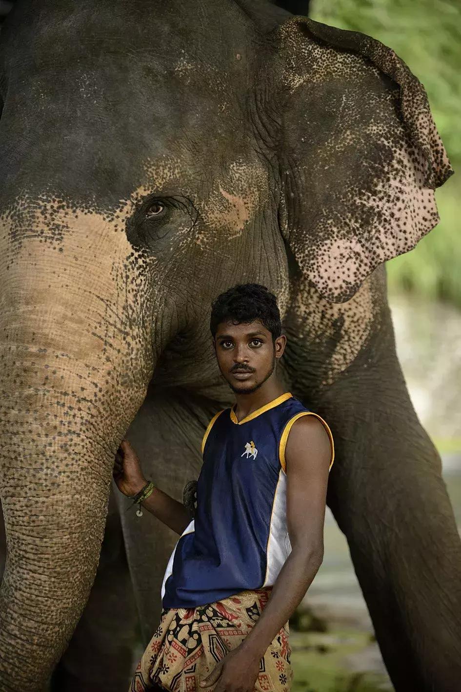 印度洋孕育了风情万种，看看庄培芳“微笑的斯里兰卡”就能感受到