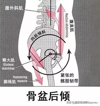 屁股扁平中间还有个坑,屁股扁且下垂显得腿短