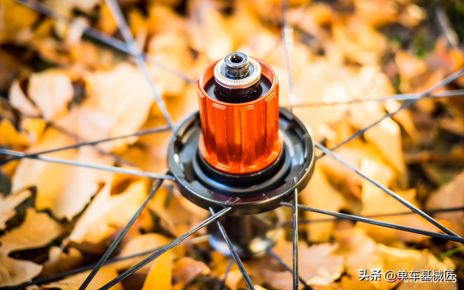 自行车花鼓阻力大解决方法,自行车花鼓挑选技巧图解说明