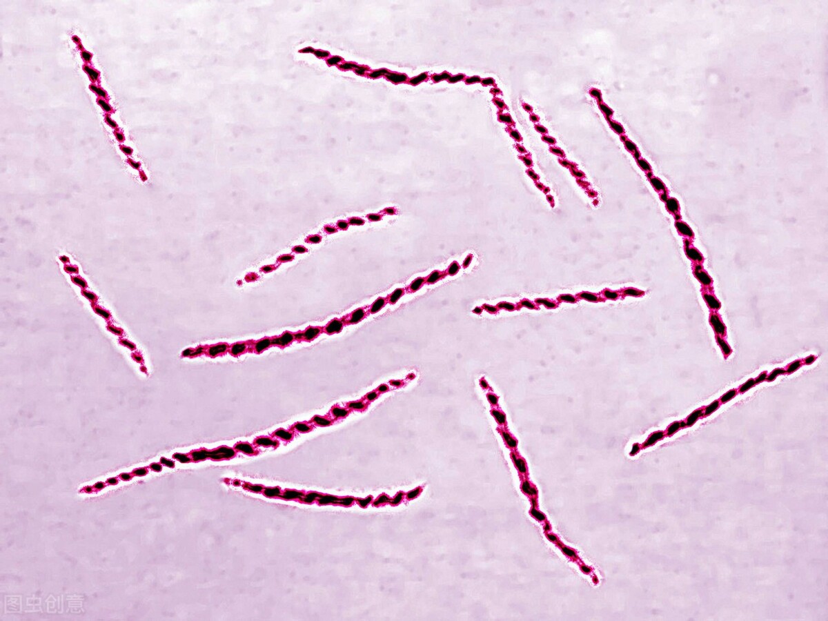 小伙被感染梅毒,晚期梅毒可能造成肺部损伤吗