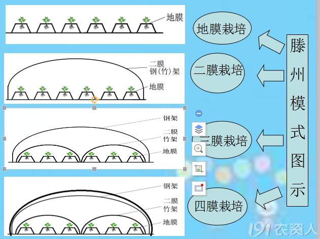 马铃薯免耕栽培技术视频,马铃薯高产栽培技术的参考文献