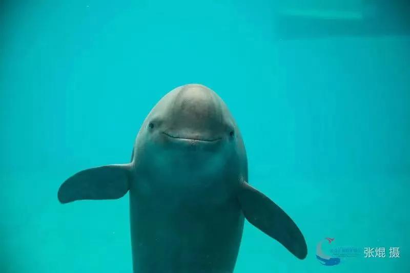 为什么选择南京工作,全国95后现状