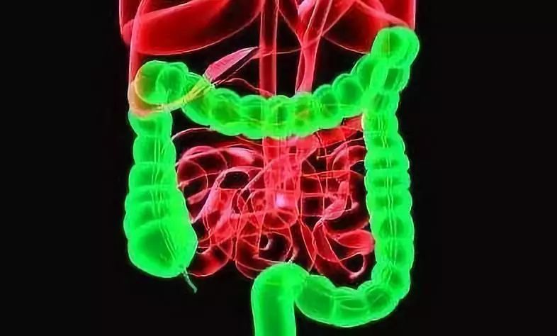 结肠癌有彻底治好的吗,早期结肠癌的4个求救信号