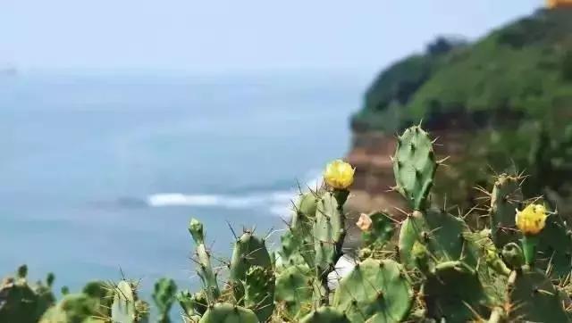 你的微信名暴露了你的层次,你的微信昵称暴露了你的社会阶层