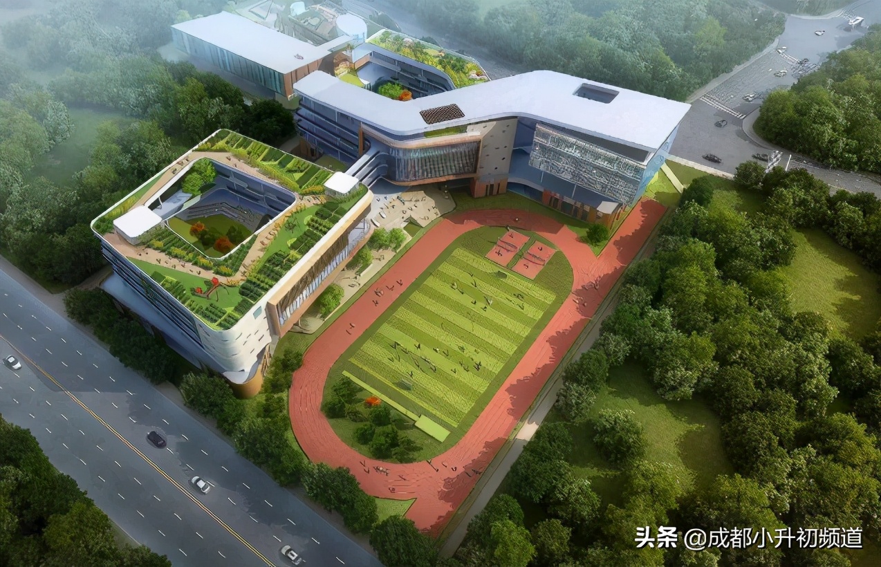 公办初中含金量,新的公办初中到底好不好