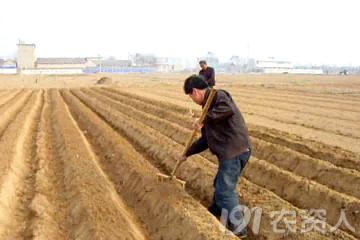 马铃薯免耕栽培技术视频,马铃薯高产栽培技术的参考文献